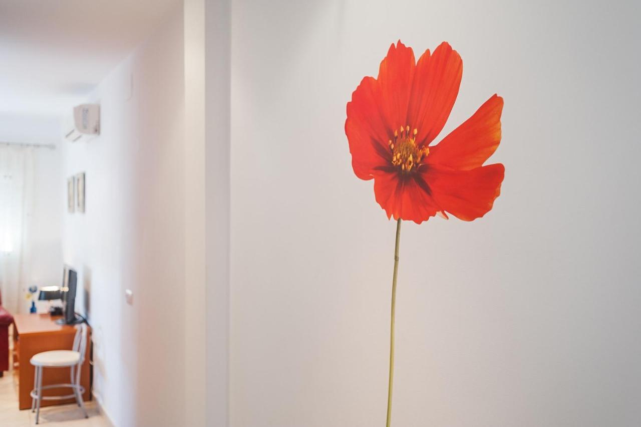 Piso Sebastian 2 Alto Solo Familias Apartment *